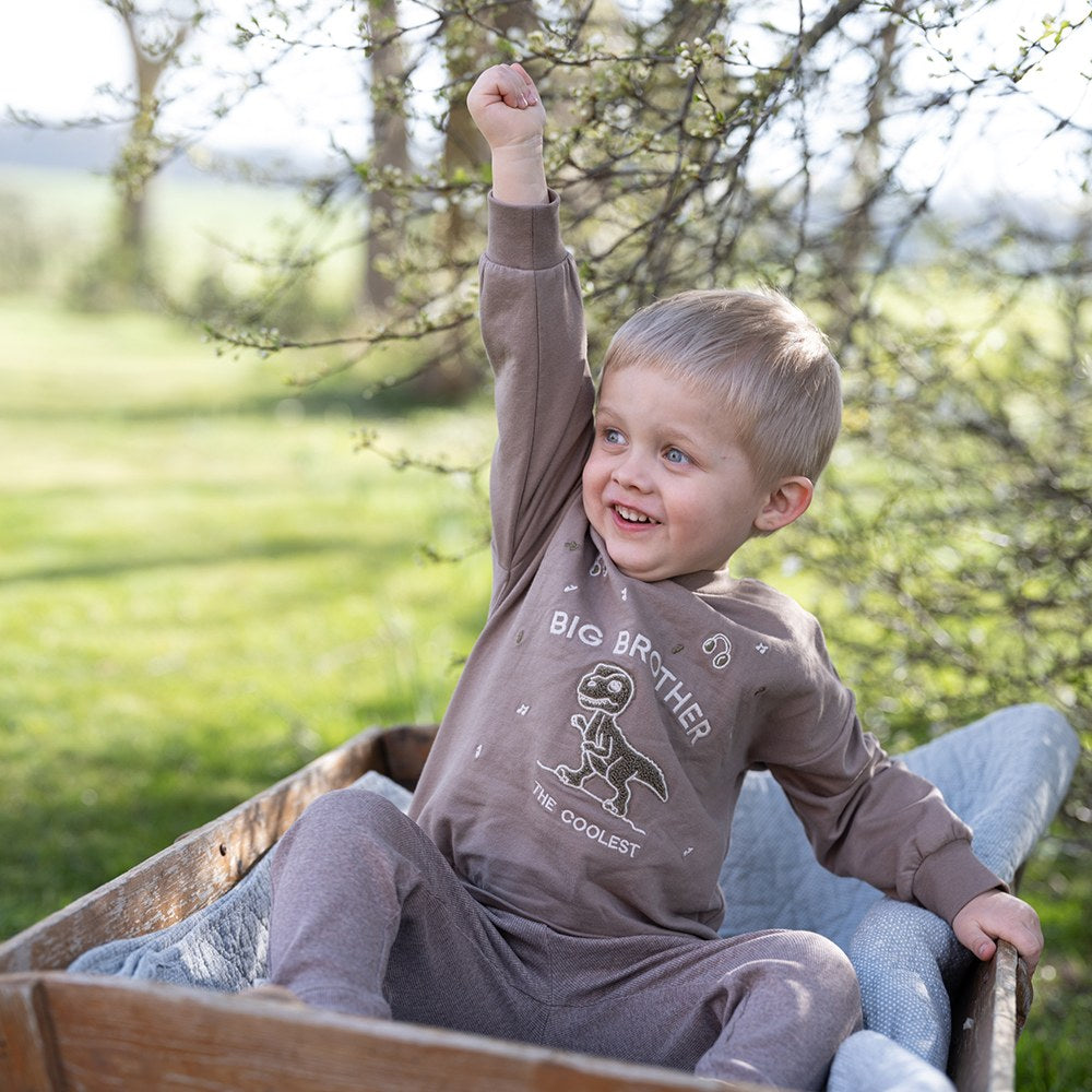 Finley big brother sweatshirt - Fossil